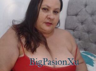 BigPasionXu