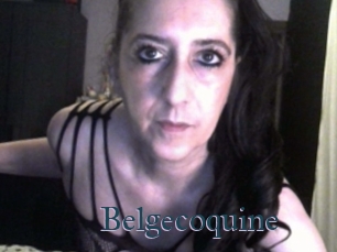 Belgecoquine