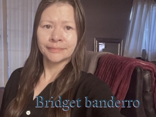 Bridget_banderro