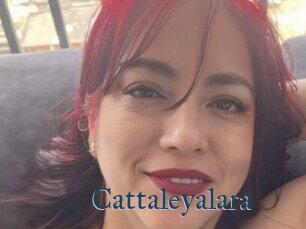 Cattaleyalara