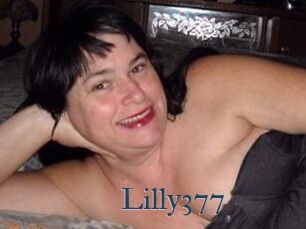 Lilly377