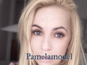 Pamelamodel