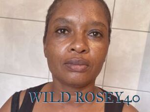 WILD_ROSEY40