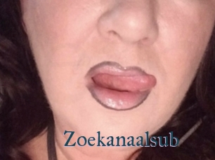 Zoekanaalsub